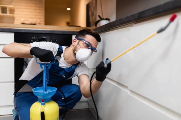 Best Best Pest Control Companies  in Grandville, MI