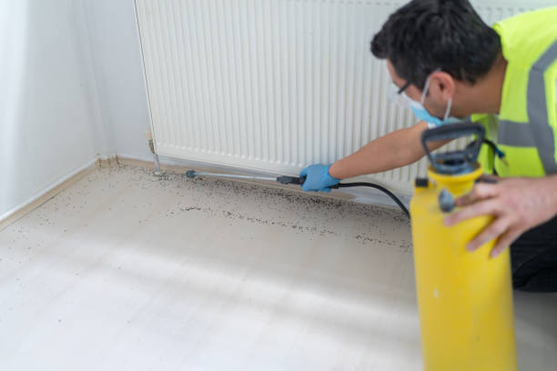 Best Affordable Pest Control Services  in Grandville, MI