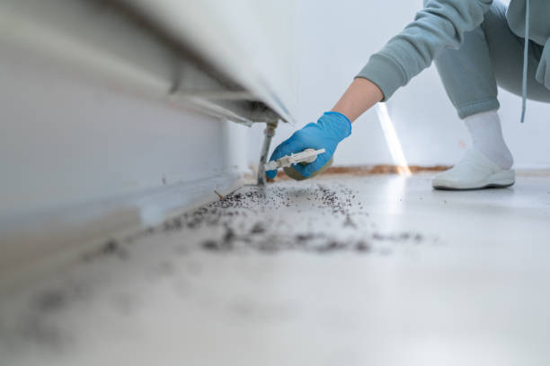Best Cockroach Control Services  in Grandville, MI